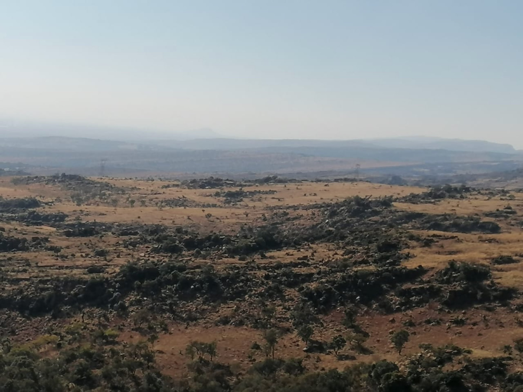 Bushveld stretching to the horizon