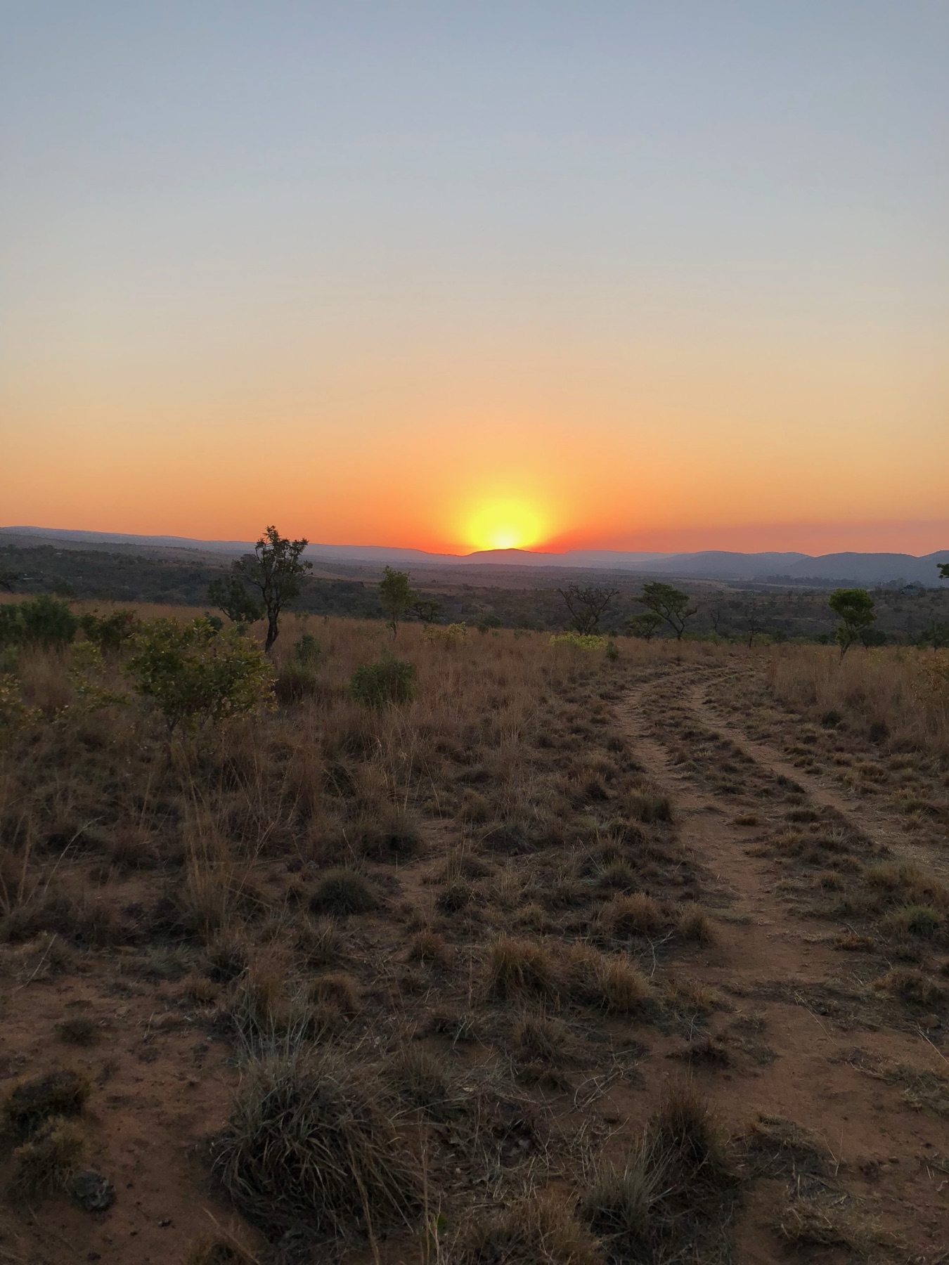 Dirt track through the bushveld at sunset