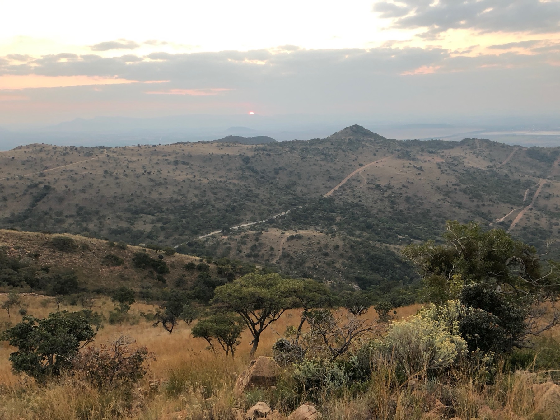 Kopjes and acacia trees, panoramic view from the property