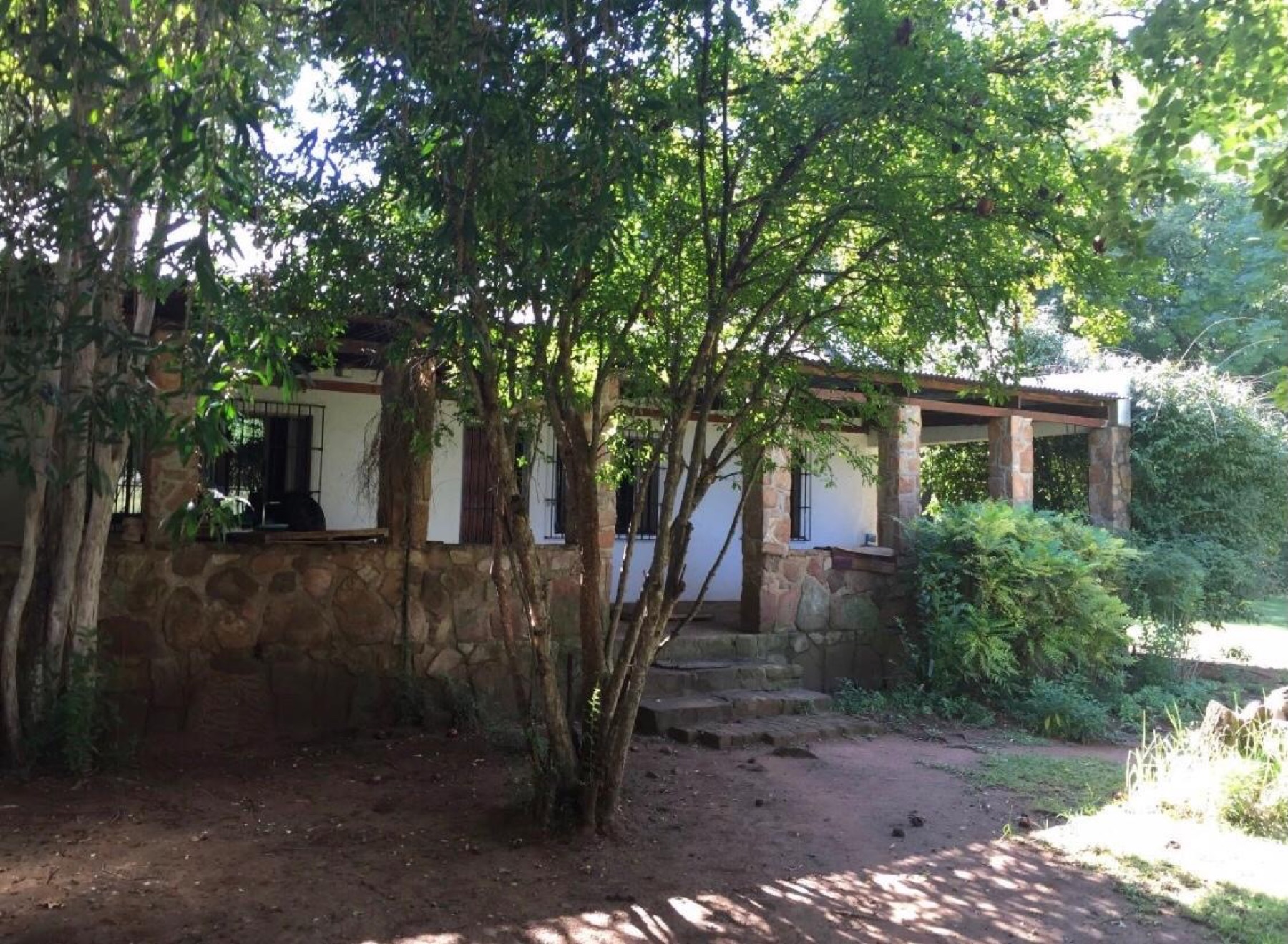 Outdoor pergola structure under mature trees in afternoon light