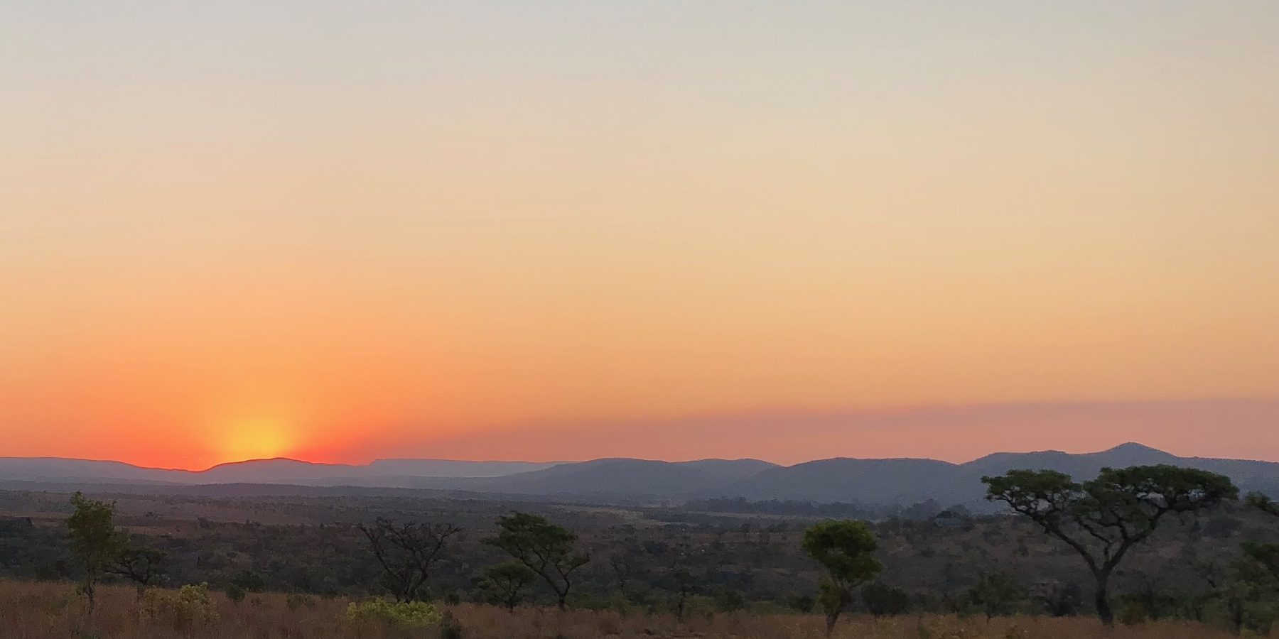 Sunset over the bushveld with a track winding away across the property